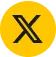 Twitter X Icon